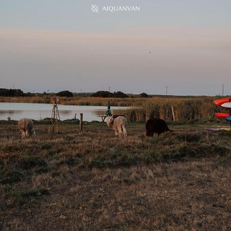 Coorong Island Retreat - Farm Stay At Pet Friendly Property 매닌지 외부 사진