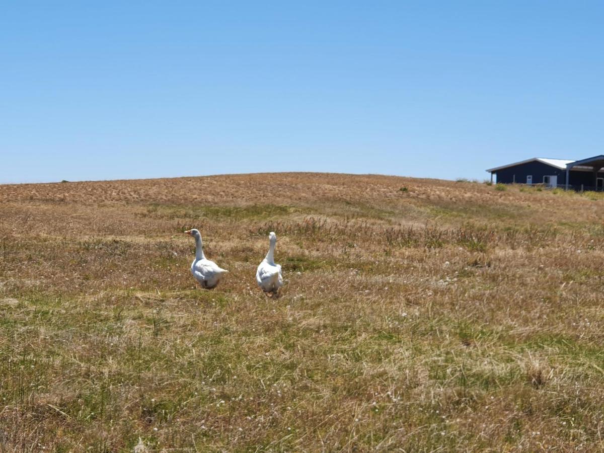 Coorong Island Retreat - Farm Stay At Pet Friendly Property 매닌지 외부 사진