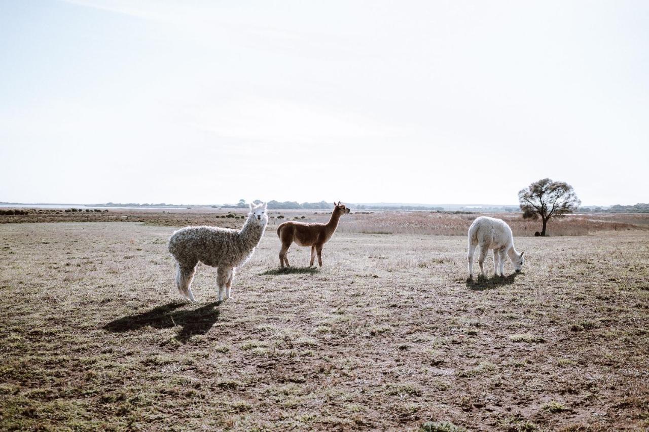Coorong Island Retreat - Farm Stay At Pet Friendly Property 매닌지 외부 사진