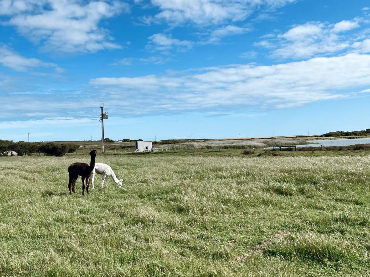 Coorong Island Retreat - Farm Stay At Pet Friendly Property 매닌지 외부 사진